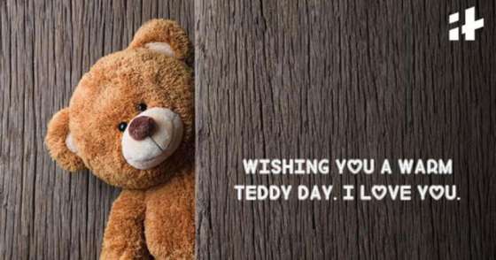 Teddy Day